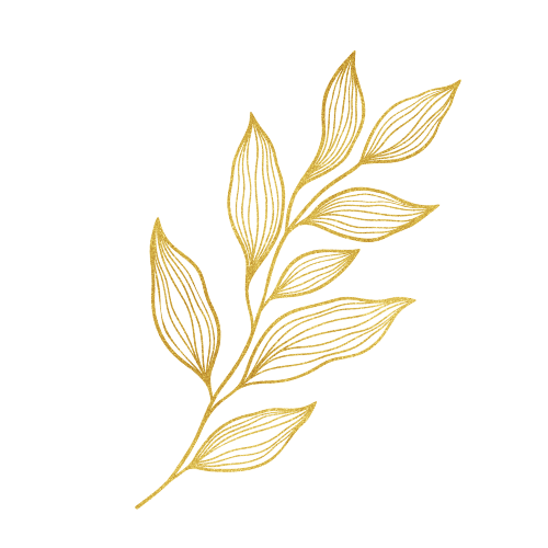 Branch Undivided (1)